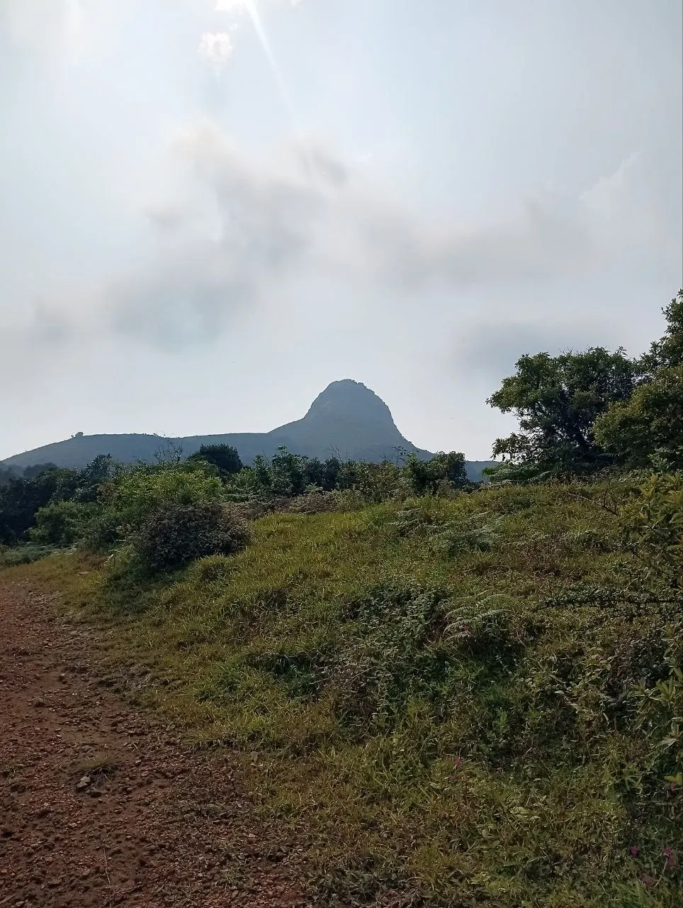 Bull hull in distance