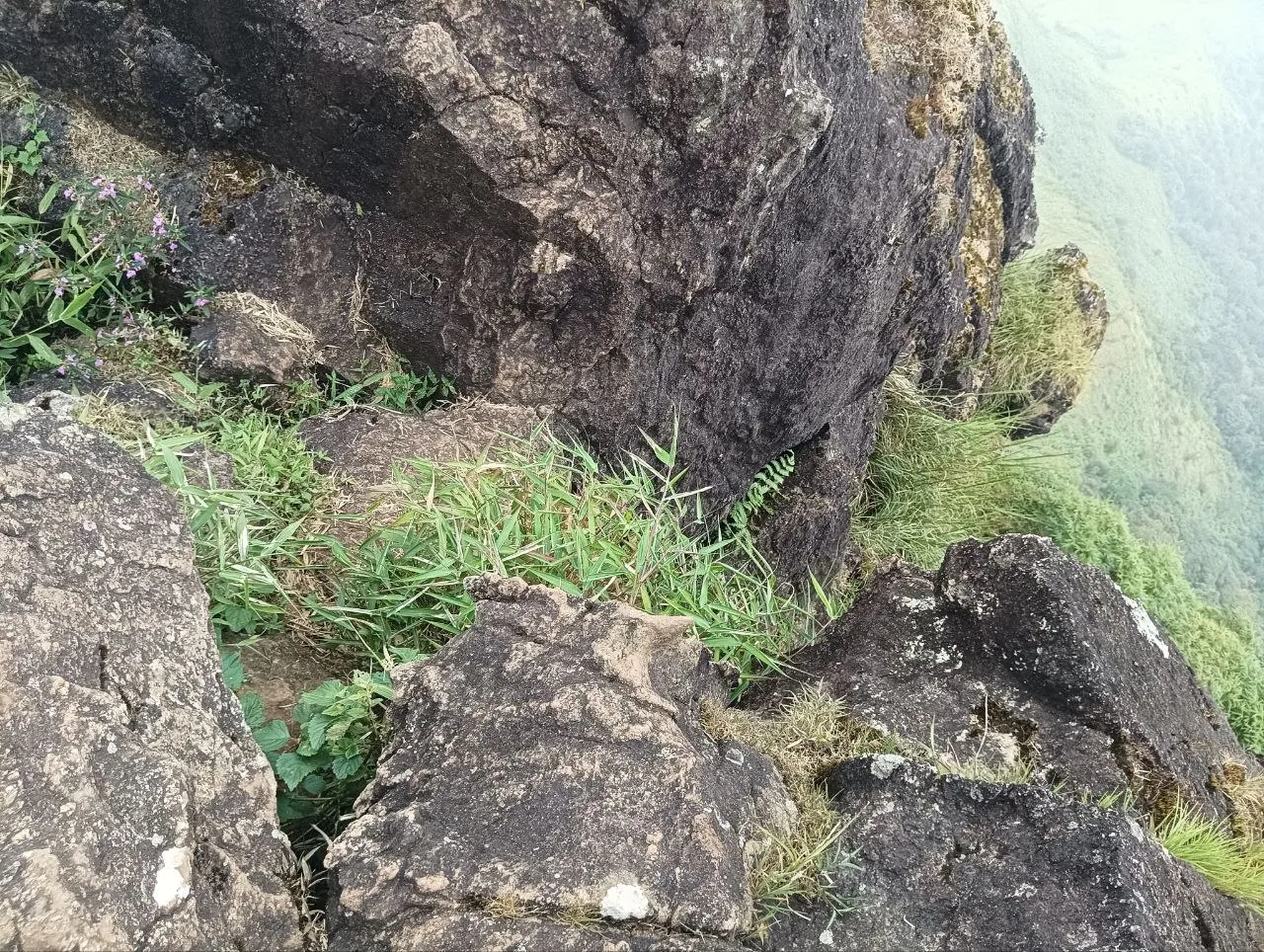 Rocky section