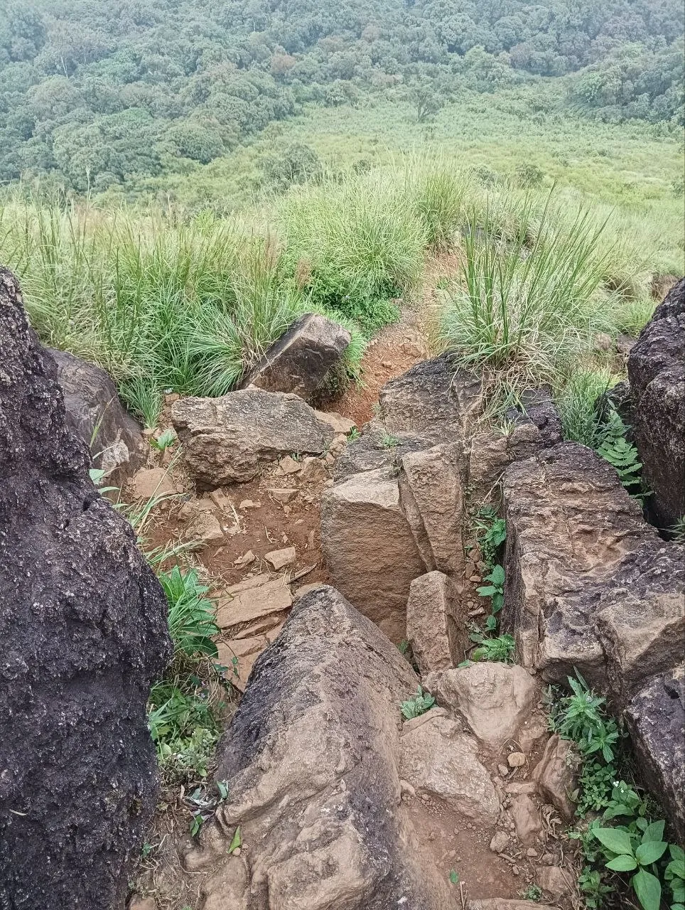 Rocky section