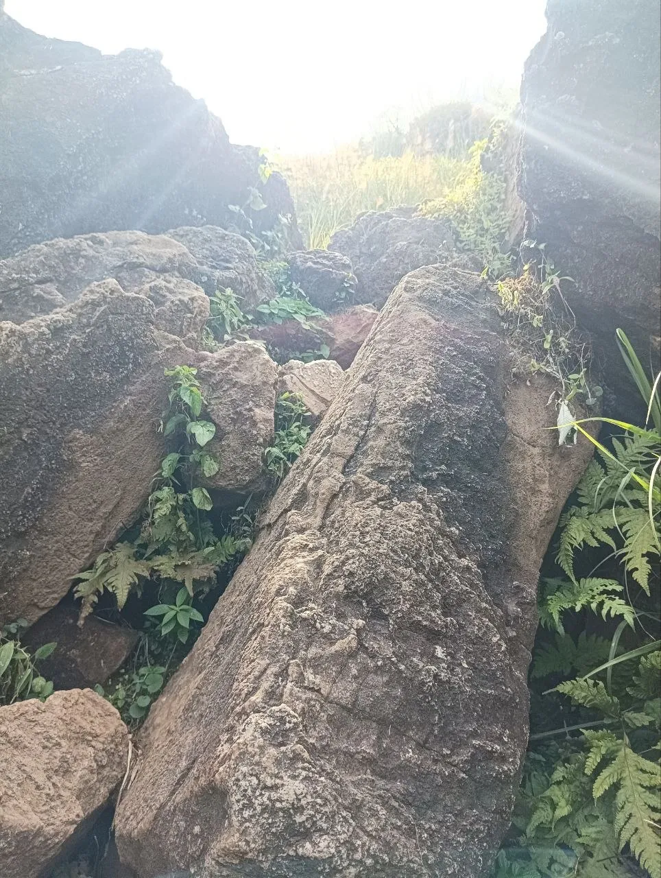 Rocky section